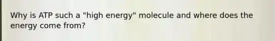 Why is ATP such a "high energy" molecule and where does the energy come from?