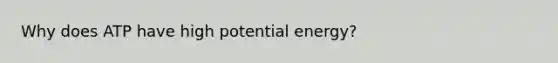 Why does ATP have high potential energy?