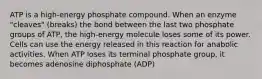 ATP is a high-energy phosphate compound. When an enzyme "cleaves" (breaks) the bond between the last two phosphate groups of ATP, the high-energy molecule loses some of its power. Cells can use the energy released in this reaction for anabolic activities. When ATP loses its terminal phosphate group, it becomes adenosine diphosphate (ADP)