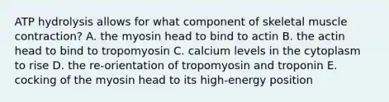 ATP hydrolysis allows for what component of skeletal <a href='https://www.questionai.com/knowledge/k0LBwLeEer-muscle-contraction' class='anchor-knowledge'>muscle contraction</a>? A. the myosin head to bind to actin B. the actin head to bind to tropomyosin C. calcium levels in the cytoplasm to rise D. the re-orientation of tropomyosin and troponin E. cocking of the myosin head to its high-energy position