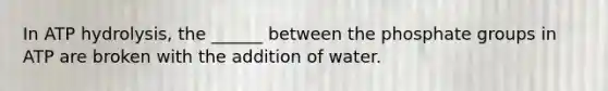 In ATP hydrolysis, the ______ between the phosphate groups in ATP are broken with the addition of water.