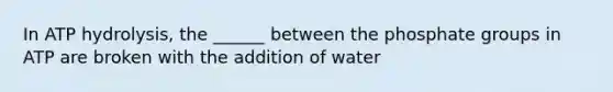 In ATP hydrolysis, the ______ between the phosphate groups in ATP are broken with the addition of water