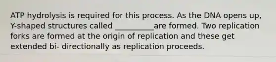 ATP hydrolysis is required for this process. As the DNA opens up, Y-shaped structures called __________are formed. Two replication forks are formed at the origin of replication and these get extended bi- directionally as replication proceeds.