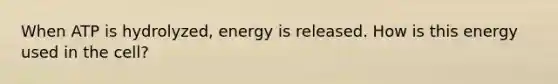 When ATP is hydrolyzed, energy is released. How is this energy used in the cell?