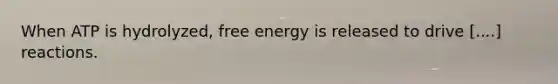 When ATP is hydrolyzed, free energy is released to drive [....] reactions.