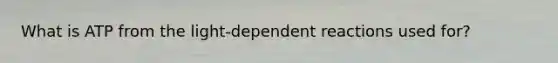 What is ATP from the light-dependent reactions used for?