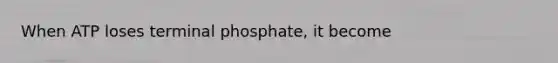 When ATP loses terminal phosphate, it become