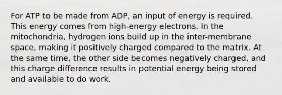 For ATP to be made from ADP, an input of energy is required. This energy comes from high-energy electrons. In the mitochondria, hydrogen ions build up in the inter-membrane space, making it positively charged compared to the matrix. At the same time, the other side becomes negatively charged, and this charge difference results in potential energy being stored and available to do work.