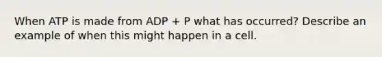 When ATP is made from ADP + P what has occurred? Describe an example of when this might happen in a cell.