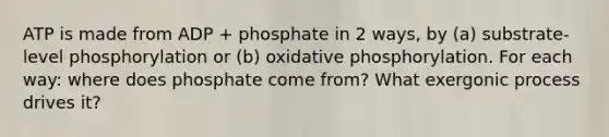 ATP is made from ADP + phosphate in 2 ways, by (a) substrate-level phosphorylation or (b) <a href='https://www.questionai.com/knowledge/kFazUb9IwO-oxidative-phosphorylation' class='anchor-knowledge'>oxidative phosphorylation</a>. For each way: where does phosphate come from? What exergonic process drives it?