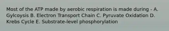 Most of the ATP made by aerobic respiration is made during - A. Gylcoysis B. Electron Transport Chain C. Pyruvate Oxidation D. Krebs Cycle E. Substrate-level phosphorylation