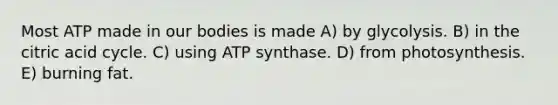 Most ATP made in our bodies is made A) by glycolysis. B) in the citric acid cycle. C) using ATP synthase. D) from photosynthesis. E) burning fat.