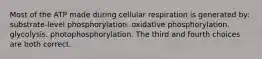 Most of the ATP made during cellular respiration is generated by: substrate-level phosphorylation. oxidative phosphorylation. glycolysis. photophosphorylation. The third and fourth choices are both correct.