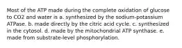 Most of the ATP made during the complete oxidation of glucose to CO2 and water is a. synthesized by the sodium-potassium ATPase. b. made directly by the citric acid cycle. c. synthesized in the cytosol. d. made by the mitochondrial ATP synthase. e. made from substrate-level phosphorylation.