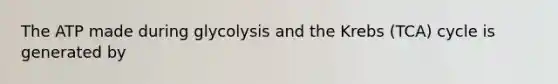 The ATP made during glycolysis and the Krebs (TCA) cycle is generated by