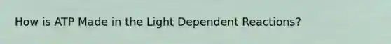 How is ATP Made in the Light Dependent Reactions?