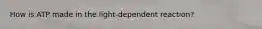 How is ATP made in the light-dependent reaction?