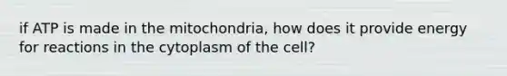 if ATP is made in the mitochondria, how does it provide energy for reactions in the cytoplasm of the cell?