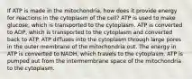 If ATP is made in the mitochondria, how does it provide energy for reactions in the cytoplasm of the cell? ATP is used to make glucose, which is transported to the cytoplasm. ATP is converted to ADP, which is transported to the cytoplasm and converted back to ATP. ATP diffuses into the cytoplasm through large pores in the outer membrane of the mitochondria out. The energy in ATP is converted to NADH, which travels to the cytoplasm. ATP is pumped out from the intermembrane space of the mitochondria to the cytoplasm.