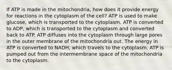 If ATP is made in the mitochondria, how does it provide energy for reactions in the cytoplasm of the cell? ATP is used to make glucose, which is transported to the cytoplasm. ATP is converted to ADP, which is transported to the cytoplasm and converted back to ATP. ATP diffuses into the cytoplasm through large pores in the outer membrane of the mitochondria out. The energy in ATP is converted to NADH, which travels to the cytoplasm. ATP is pumped out from the intermembrane space of the mitochondria to the cytoplasm.