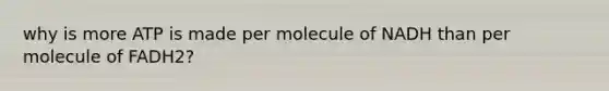 why is more ATP is made per molecule of NADH than per molecule of FADH2?