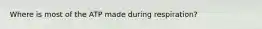 Where is most of the ATP made during respiration?