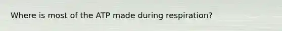 Where is most of the ATP made during respiration?