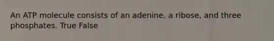 An ATP molecule consists of an adenine, a ribose, and three phosphates. True False