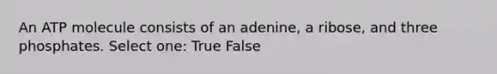 An ATP molecule consists of an adenine, a ribose, and three phosphates. Select one: True False