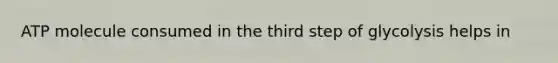 ATP molecule consumed in the third step of glycolysis helps in