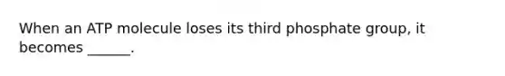 When an ATP molecule loses its third phosphate group, it becomes ______.