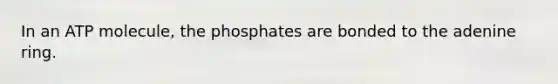 In an ATP molecule, the phosphates are bonded to the adenine ring.