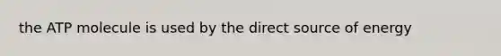 the ATP molecule is used by the direct source of energy