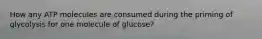 How any ATP molecules are consumed during the priming of glycolysis for one molecule of glucose?