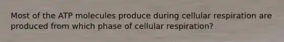 Most of the ATP molecules produce during cellular respiration are produced from which phase of cellular respiration?