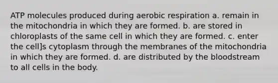 ATP molecules produced during aerobic respiration a. remain in the mitochondria in which they are formed. b. are stored in chloroplasts of the same cell in which they are formed. c. enter the cell]s cytoplasm through the membranes of the mitochondria in which they are formed. d. are distributed by the bloodstream to all cells in the body.