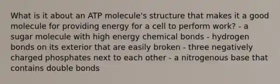 What is it about an ATP molecule's structure that makes it a good molecule for providing energy for a cell to perform work? - a sugar molecule with high energy chemical bonds - hydrogen bonds on its exterior that are easily broken - three negatively charged phosphates next to each other - a nitrogenous base that contains double bonds