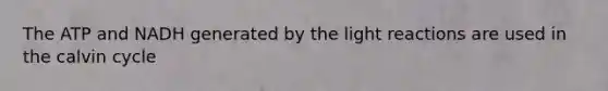 The ATP and NADH generated by the light reactions are used in the calvin cycle