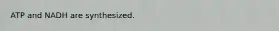 ATP and NADH are synthesized.