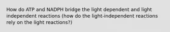 How do ATP and NADPH bridge the light dependent and light independent reactions (how do the light-independent reactions rely on the light reactions?)