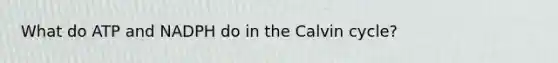 What do ATP and NADPH do in the Calvin cycle?