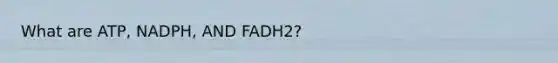 What are ATP, NADPH, AND FADH2?