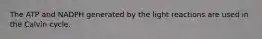 The ATP and NADPH generated by the light reactions are used in the Calvin cycle.