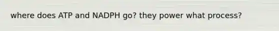 where does ATP and NADPH go? they power what process?