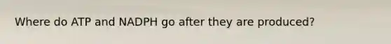 Where do ATP and NADPH go after they are produced?