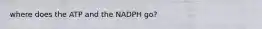 where does the ATP and the NADPH go?