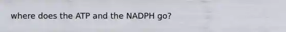 where does the ATP and the NADPH go?