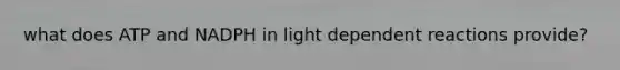 what does ATP and NADPH in light dependent reactions provide?