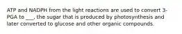 ATP and NADPH from the light reactions are used to convert 3-PGA to ___, the sugar that is produced by photosynthesis and later converted to glucose and other organic compounds.