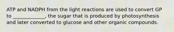 ATP and NADPH from the <a href='https://www.questionai.com/knowledge/kSUoWrrvoC-light-reactions' class='anchor-knowledge'>light reactions</a> are used to convert GP to _____________, the sugar that is produced by photosynthesis and later converted to glucose and other <a href='https://www.questionai.com/knowledge/kSg4ucUAKW-organic-compounds' class='anchor-knowledge'>organic compounds</a>.